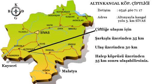  Altınkangal kangal çiftliğine ulaşım